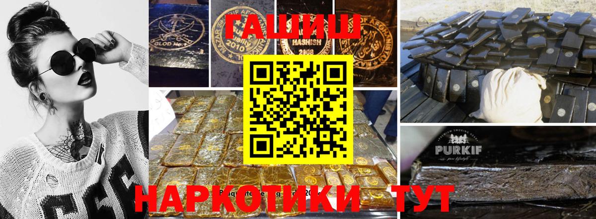 ГАШ Premium Петровск