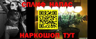 мяу мяу мука Будённовск