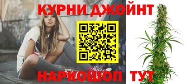 мяу мяу мука Будённовск