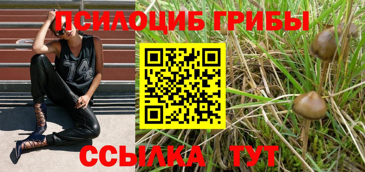 Псилоцибиновые грибы GOLDEN TEACHER Петровск
