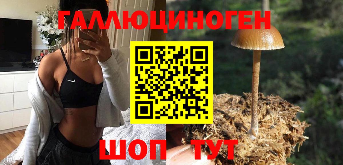 Галлюциногенные грибы Cubensis  Вход с VPN  Петровск 